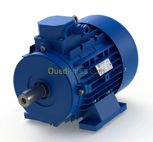 Moteur électrique ELPROM BULGARIA