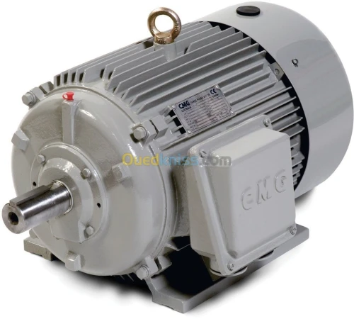 Moteur Electrique