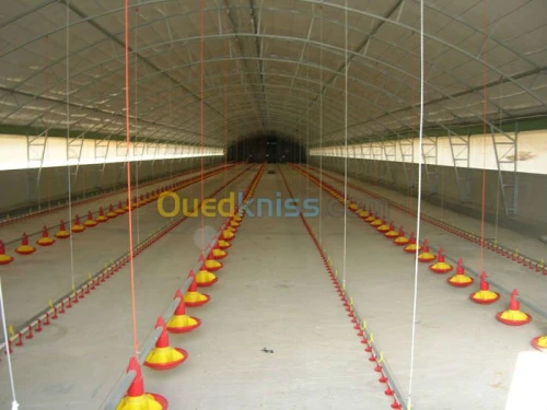 Equipement  avicole 