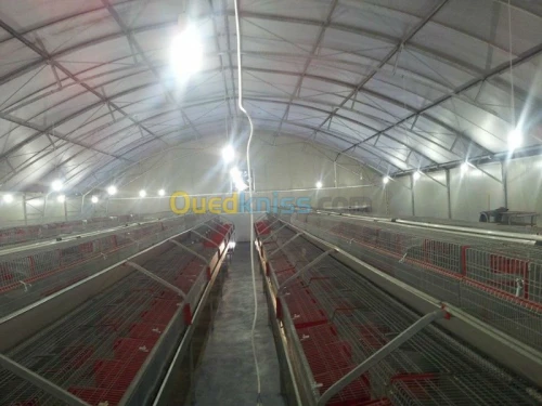 Equipement  avicole 