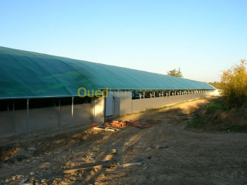 Equipement  avicole 