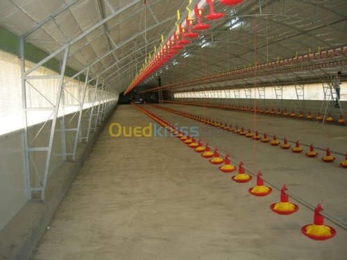 Equipement  avicole 