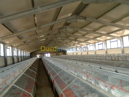 Equipement  avicole 