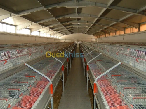 Equipement  avicole 