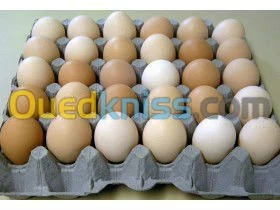 Emballages Alimentaires