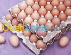 Emballages Alimentaires