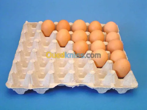 Emballages Alimentaires