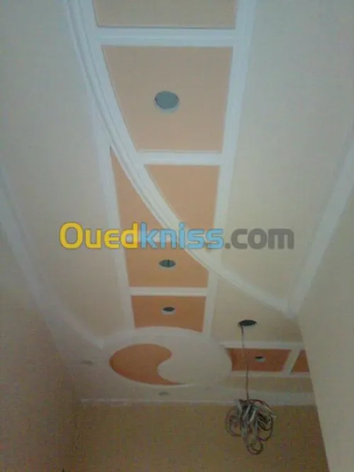 Plâtrerie/Électricité /Marbre escalier