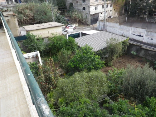 Vente Terrain Alger Bouzareah