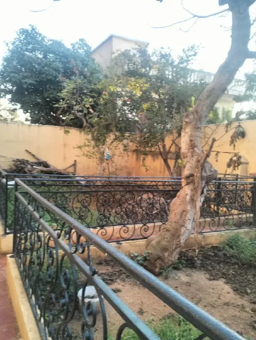 Vente Terrain Alger El madania