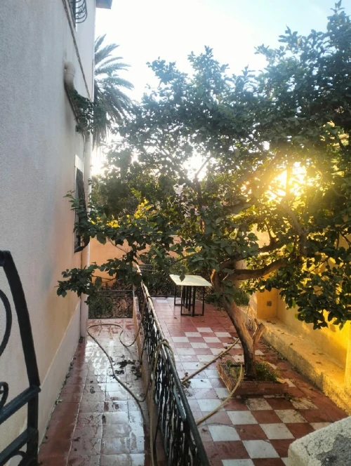 Vente Terrain Alger El madania