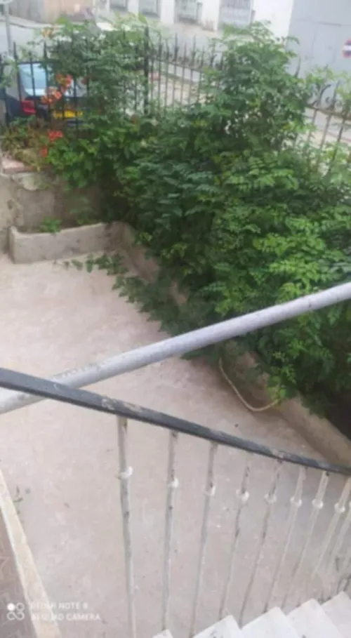 Vente Appartement F2 Alger Bab el oued
