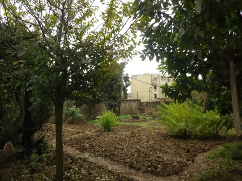 Vente Villa Alger Bouzareah