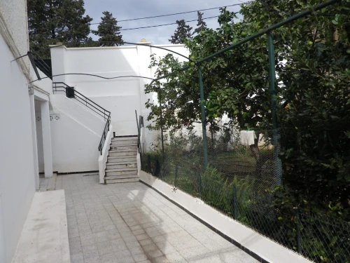 Vente Terrain Alger Bouzareah