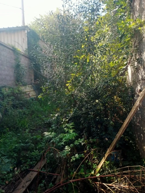 Vente Villa Alger Draria