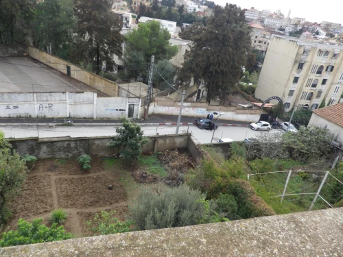 Vente Terrain Alger Bouzareah