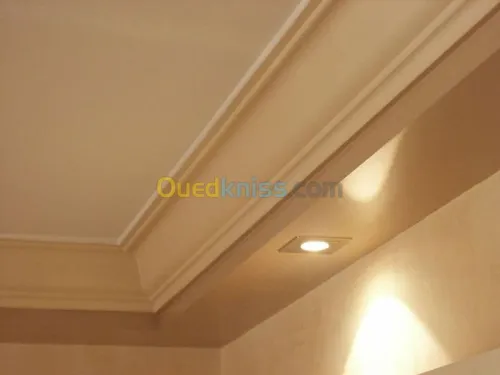 Plâtrerie/Électricité/Maçonnerie