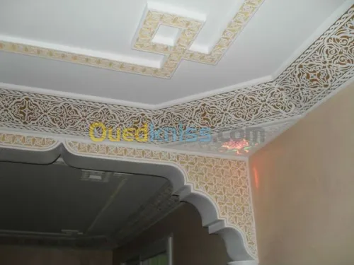 Plâtrerie/Électricité/Maçonnerie