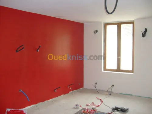 Plâtrerie/Électricité/Maçonnerie