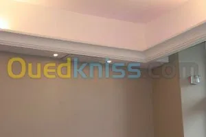 Plâtrerie/Électricité/Maçonnerie