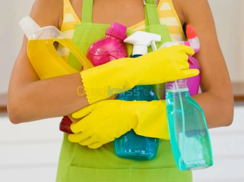 ENTREPRISE DE NETTOYAGE