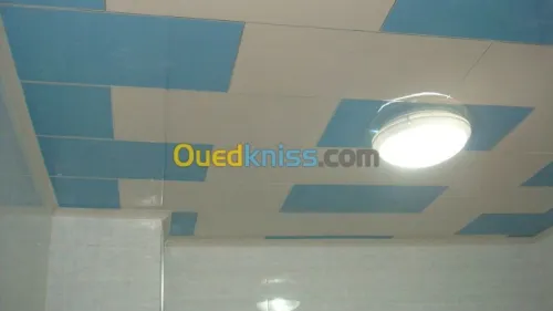 tous les différent type de faux plafon