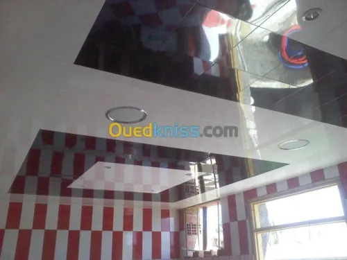 tous les différent type de faux plafon