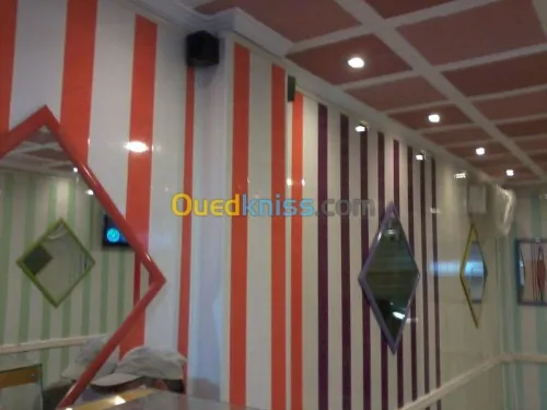 tous les différent type de faux plafon