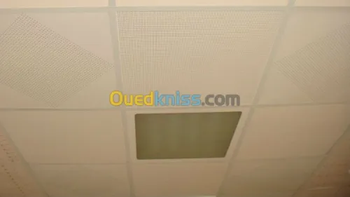 tous les différent type de faux plafon