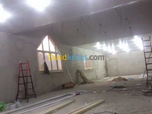 tous les différent type de faux plafon