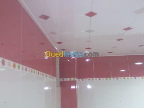 tous les différent type de faux plafon