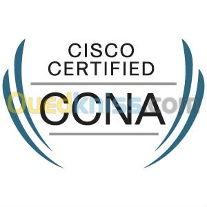 Formation CCNA PROFESSIONNELLE "Promo"
