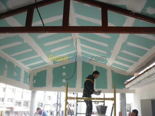 placo platre BIA13_BIA10_BIA6_BIA15_BIA18 (pose,isolation,cloisant,faux-plafond demantable,pvc) revêtement mural _parquai    