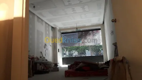 placo platre BIA13_BIA10_BIA6_BIA15_BIA18 (pose,isolation,cloisant,faux-plafond demantable,pvc) revêtement mural _parquai    