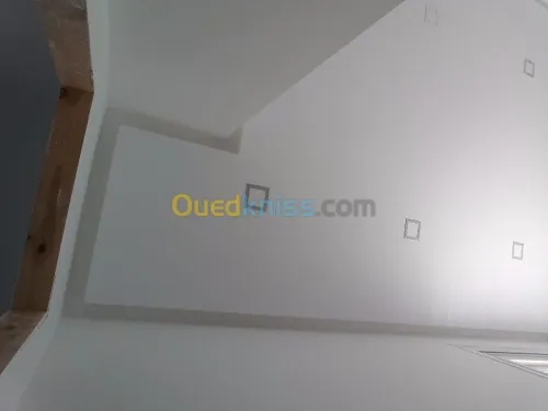 placo platre BIA13_BIA10_BIA6_BIA15_BIA18 (pose,isolation,cloisant,faux-plafond demantable,pvc) revêtement mural _parquai    