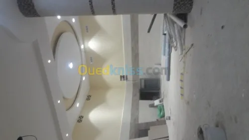 placo platre BIA13_BIA10_BIA6_BIA15_BIA18 (pose,isolation,cloisant,faux-plafond demantable,pvc) revêtement mural _parquai    