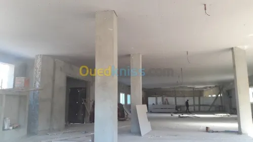 placo platre BIA13_BIA10_BIA6_BIA15_BIA18 (pose,isolation,cloisant,faux-plafond demantable,pvc) revêtement mural _parquai    