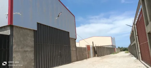 Location Hangar Alger Baraki