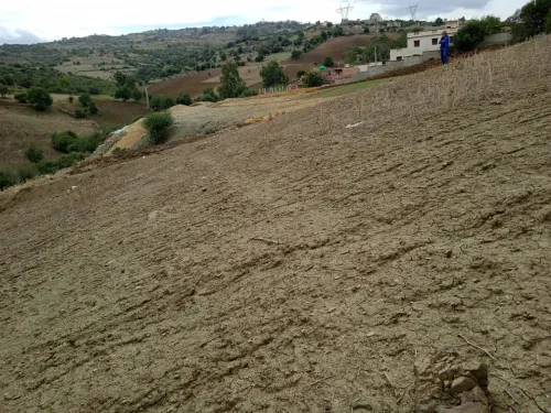 Echange Terrain Boumerdes Khemis el khechna