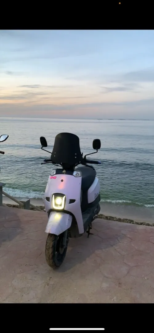 Estate Vms 2021