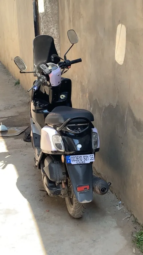 Estate 1 Cuxi 2021