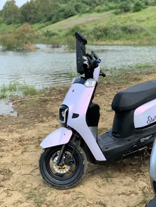 Estate 1 Cuxi 2021