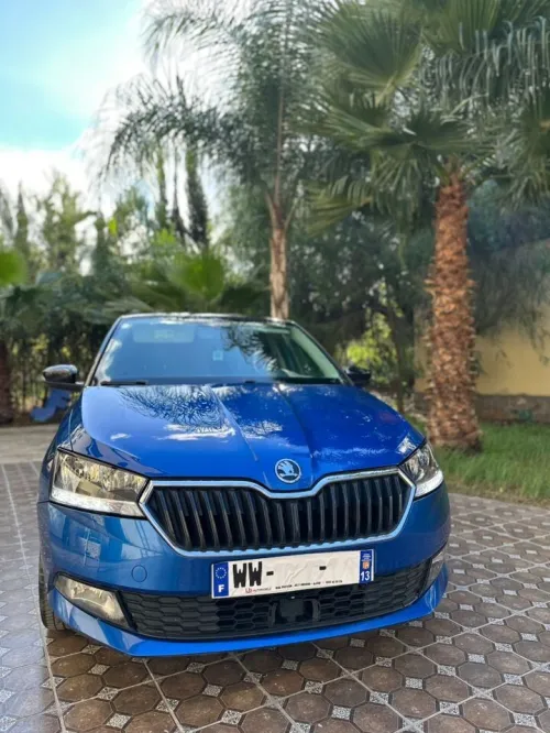 Skoda Fabia 2021 Clever