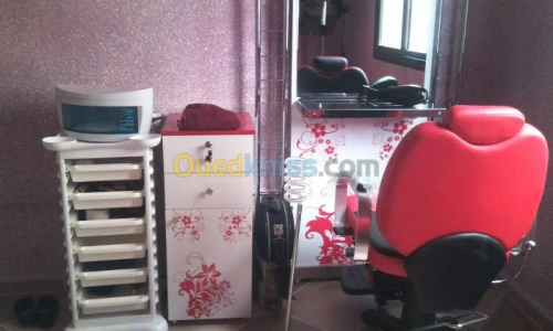 SALON DE COIFFURE LINA 