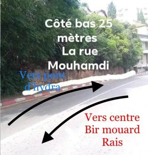Vente Villa Alger El mouradia