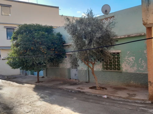 Vente Niveau De Villa F3 Tlemcen Bensekrane