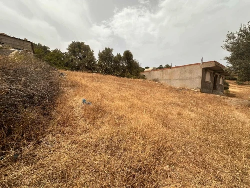Vente Terrain Béjaïa Ouzellaguen