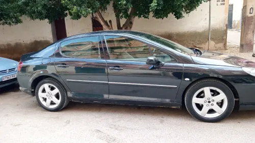Peugeot 407 2007 407