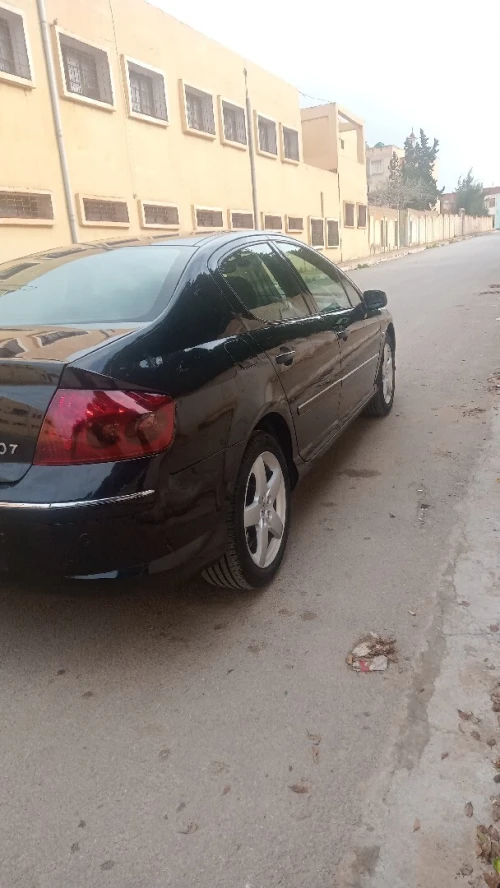 Peugeot 407 2007 407