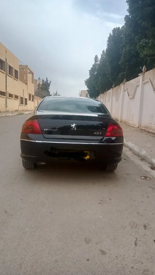 Peugeot 407 2007 407